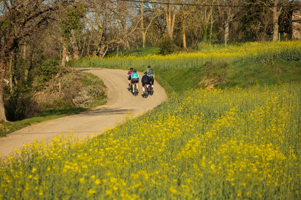 Road Bike Connection Spring 2019 - 20